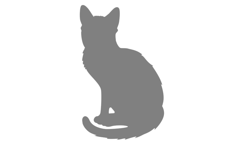 Default Cat Image