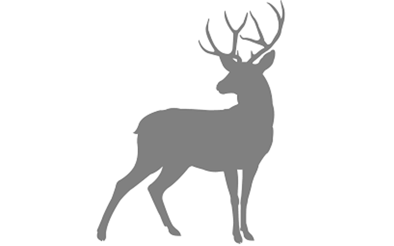 Default Deer Image
