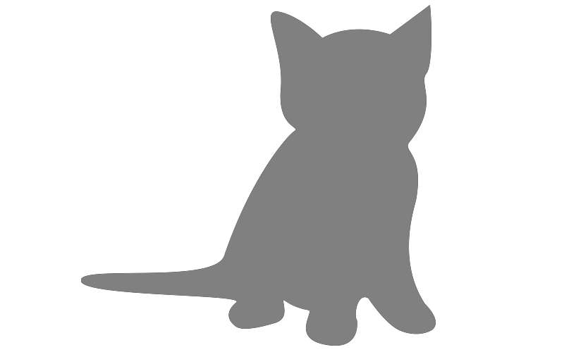 Default Kitten Image