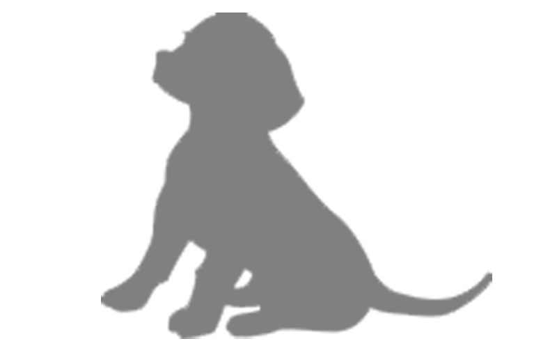 Default Puppy Image