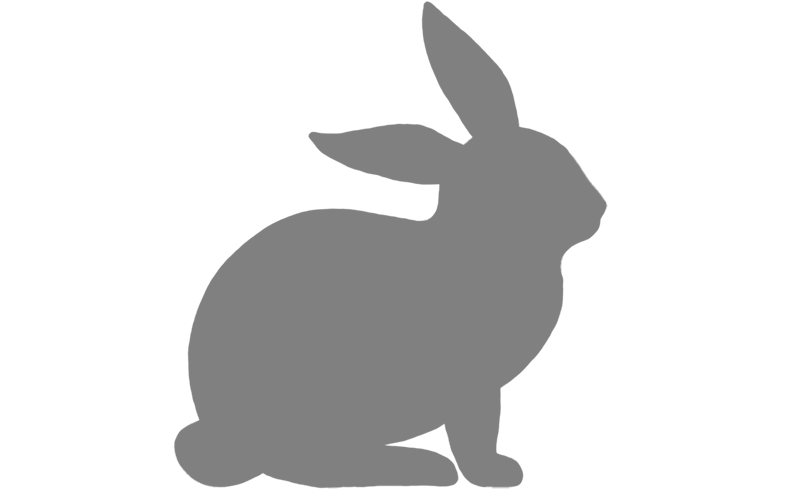 Default Rabbit Image