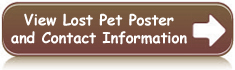 View Found Pet Poster and Contact Information