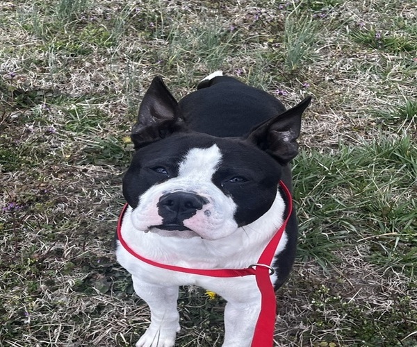 Image of “Buddy” 