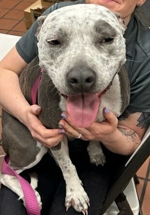 Image of Lola