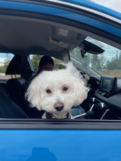 Image of Freddie
