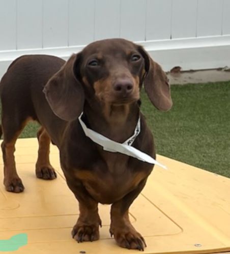 Image of Roscoe Wayne 