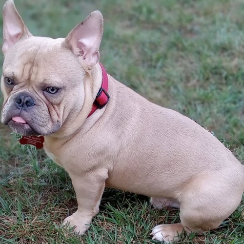 Image of Julio
