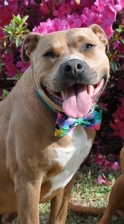 Image of Tucker