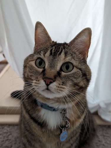 Image of Emerald or Eme