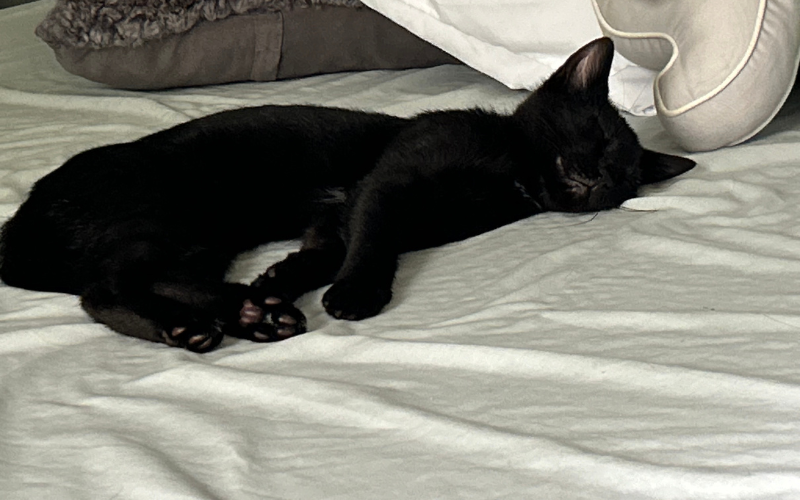 Image of Kevin