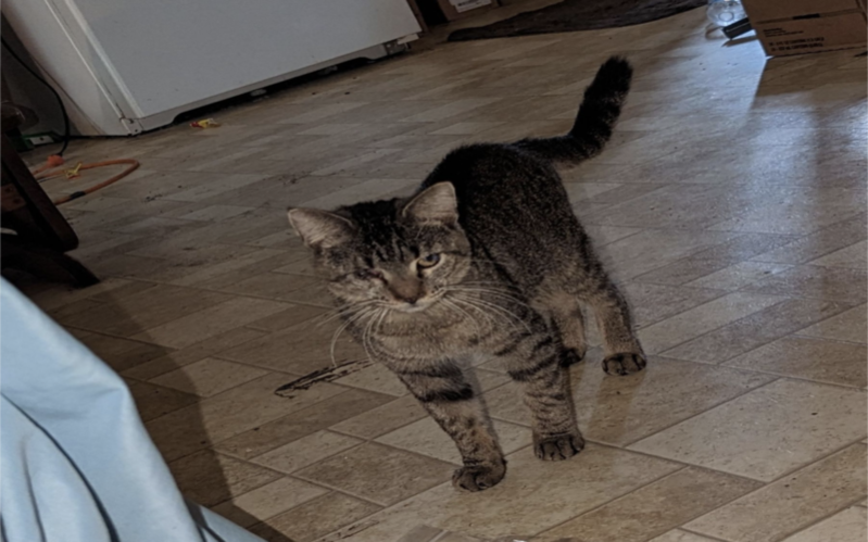 Image of Oni 'One Eye'