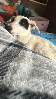 Image of Gilligan & Skipper