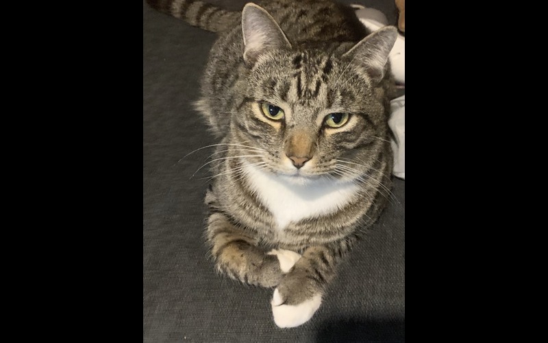 Image of Mister