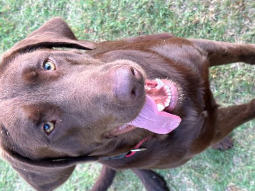 Image of Tuck & Hunter