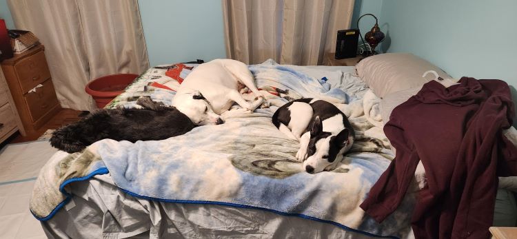 Image of Jase and patty