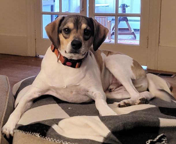 Image of Zeus Lammons 