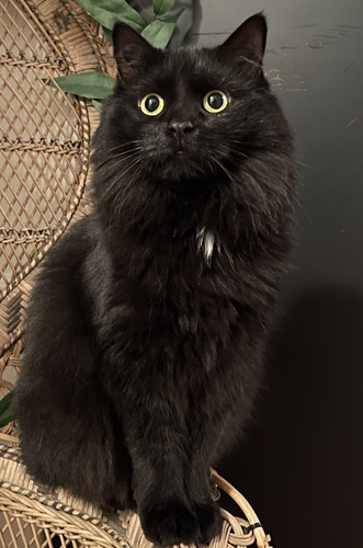 Image of Stormi