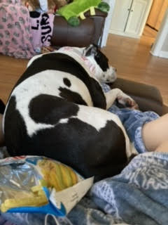 Image of Izzabella aka Bella