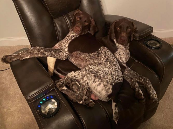 Image of Cooper and Remington 