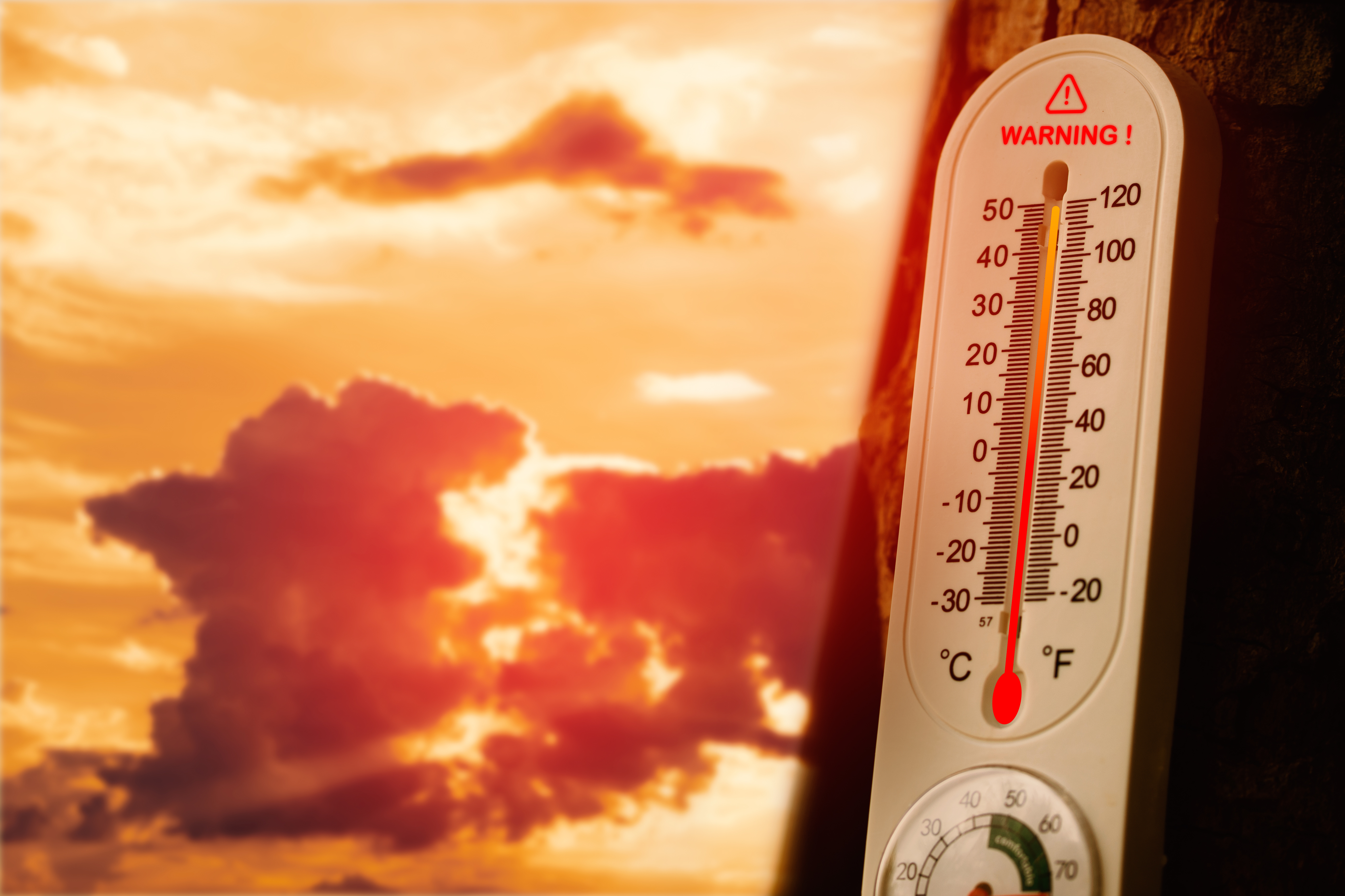 Summer Cooling Center Locations To Combat Heatwave