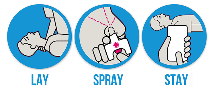 Lay, Spray and Stay image