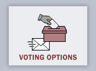 Voting Options