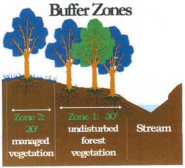 Illustration buffer zones. Shows trees on a hill with a stream to the right. Image has three labeled sections, described below.