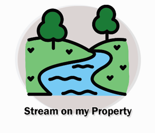 stream