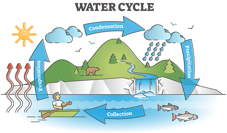 Hydrologic model image