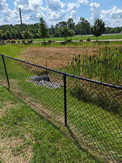 Stormwater image 1