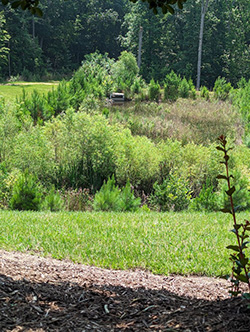 Stormwater graphic 5
