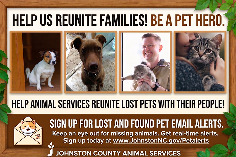 Sign Up for Lost and Found Pet Listing Email Alerts