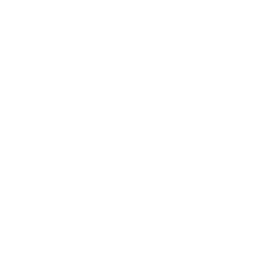 blank Icon