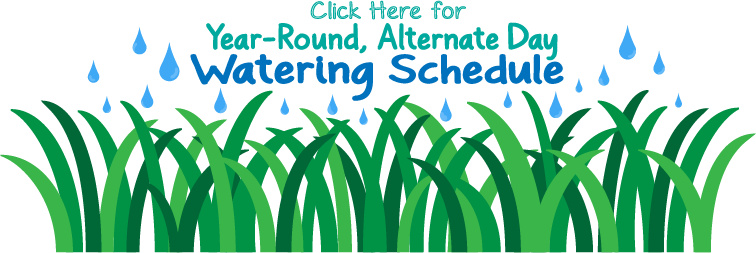Year Round Watering Schedule