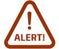 Alert Icon